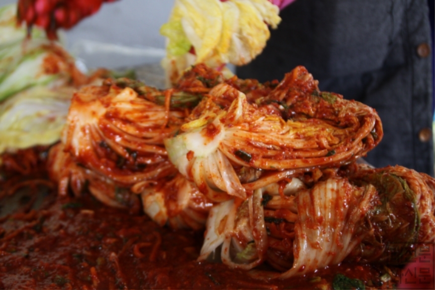 [크기변환]3 김장배추.JPG